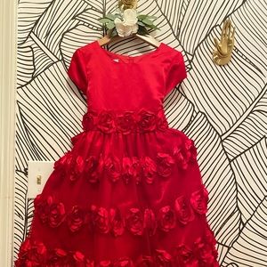 Beautiful Dress Size 6x